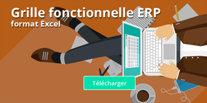 Consultants ERP : gagnez du temps avec notre grille fonctionnelle !